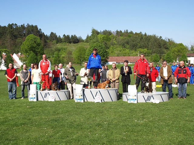 www.atibox.net * www.euroboxer.eu * www.boxergenealogia.eu